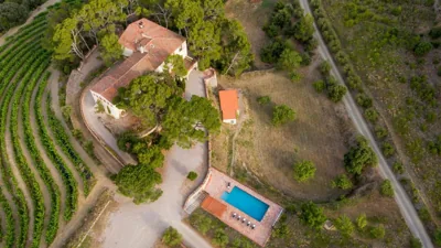 Mas Barbat — foto 10