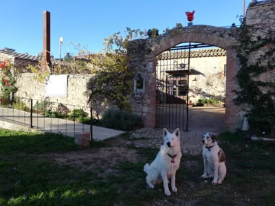 Mas Del Llop Blanc - Dog friendly Hostal Rural - B&B — photo 4