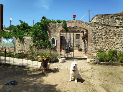 Mas Del Llop Blanc - Dog friendly Hostal Rural - B&B — photo 12