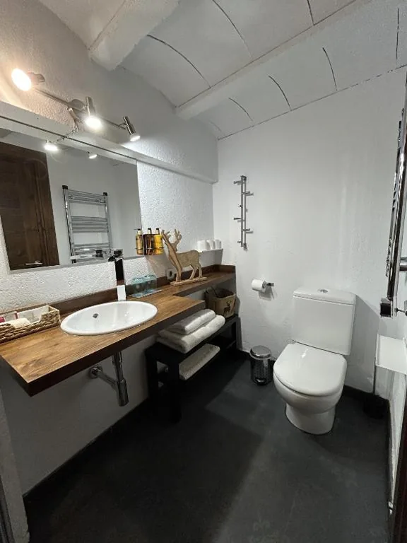 Habitación Doble con baño privado — Mas Farner - Adults Only