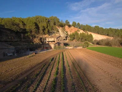 Masia Els Nocs — Foto 11