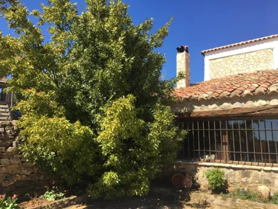 Masia La Casablanca — Foto 10