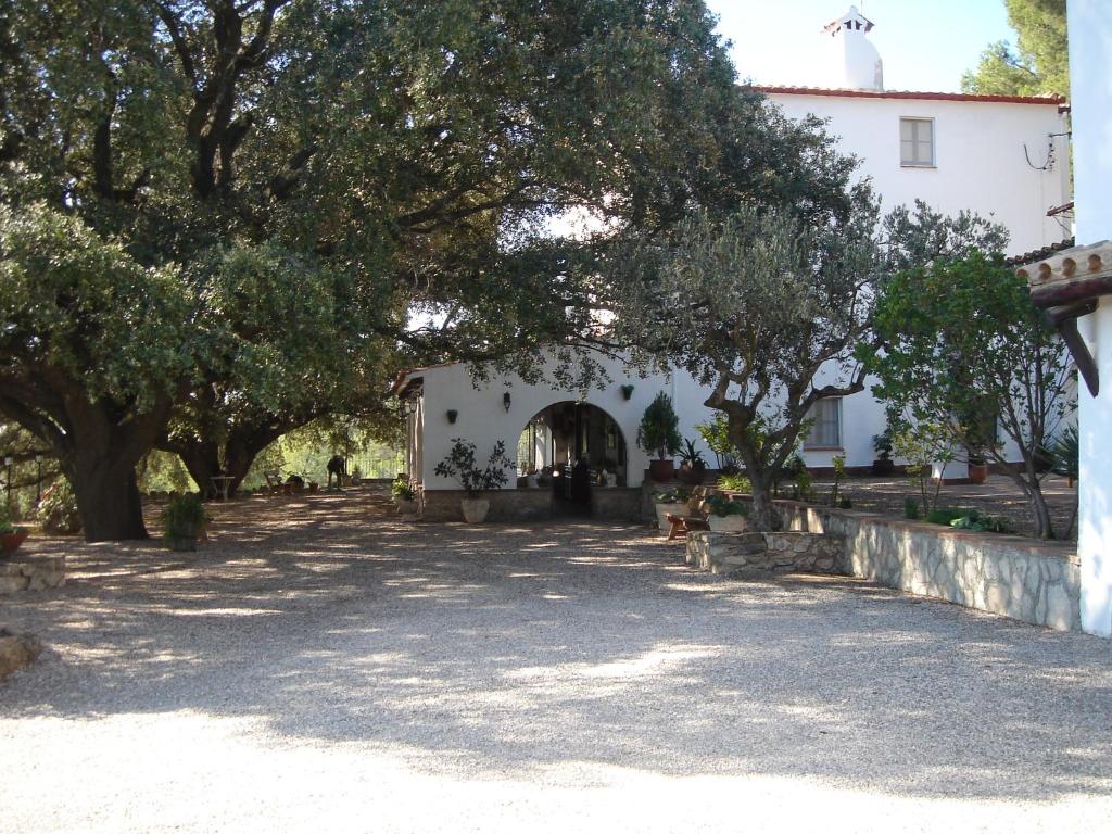 Masia Rural Les Alsines