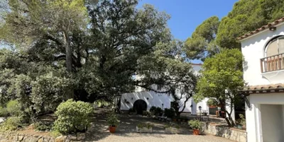 Masia Rural Les Alsines — photo 5