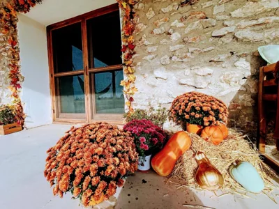 Masia Sisqueta — foto 12