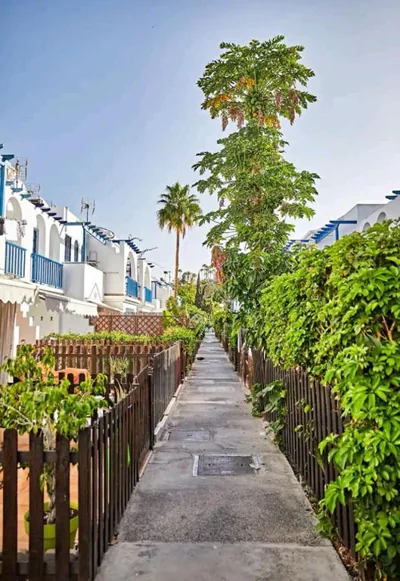 Maspalomas Casa La Loba — Foto 7