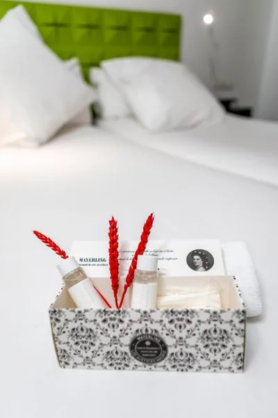 Mayerling Hotel — foto 10
