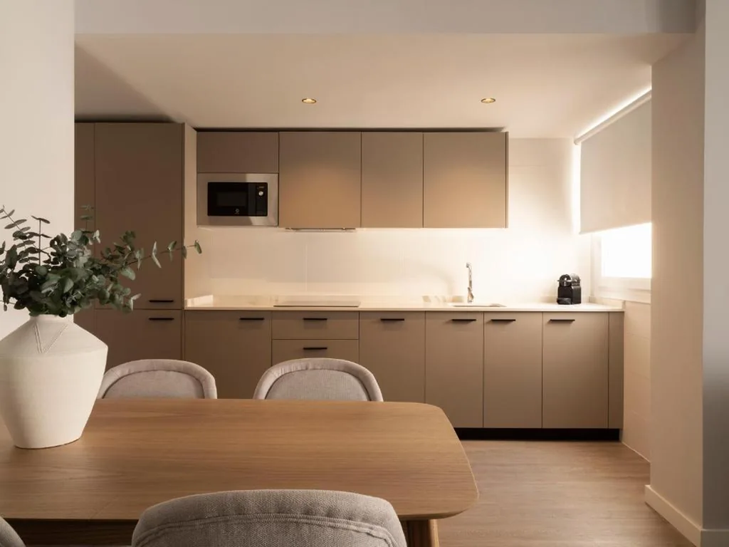 Appartement supérieur de 2 chambres avec terrasse — Meral Units