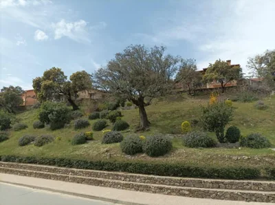 Mi capricho de Candeleda — foto 5