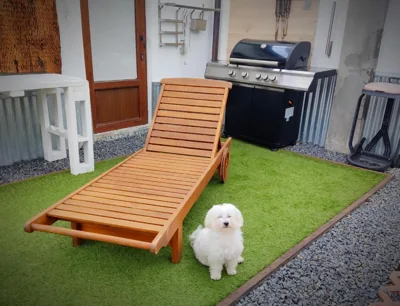 Mi Casita Olmedo — foto 10