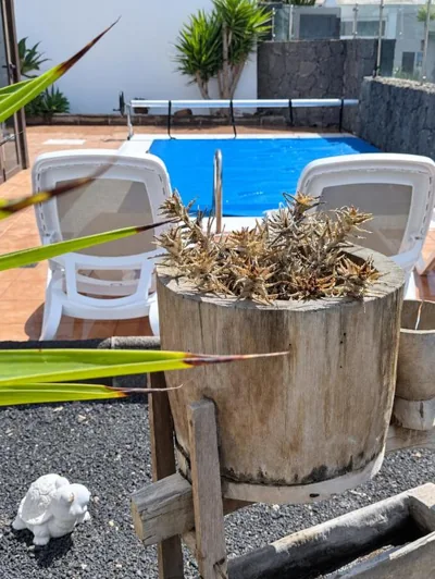 Mi Villa — 写真 8