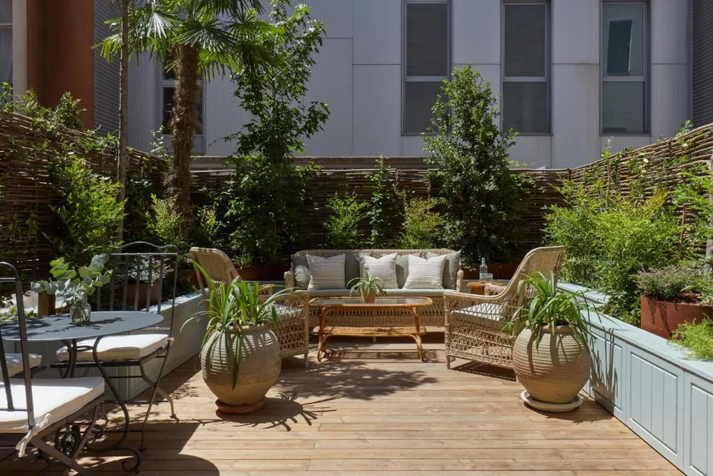 The Terrace — Miiro Borneta