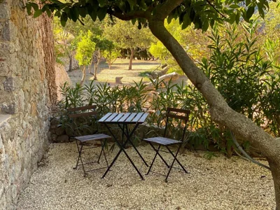 Mirabó de Valldemossa — foto 10
