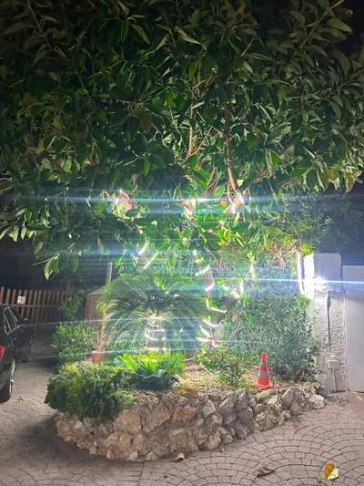 Miramar Viladecans — Foto 11