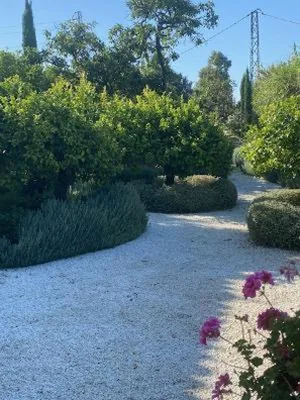 Molino Cottage — foto 10