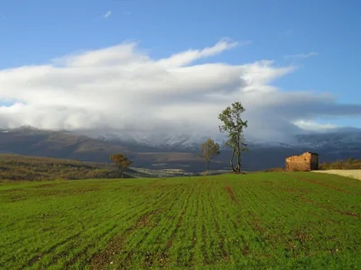 Molino De La Ferrería — foto 12