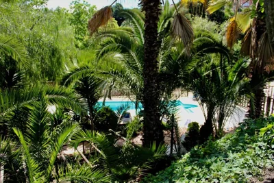 Molino de Saladilla — 写真 10