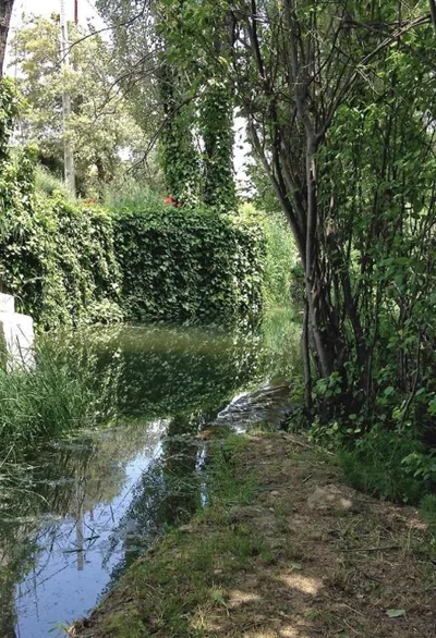 Molino del Senor — Foto 12