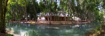 Molino Galán — photo 7