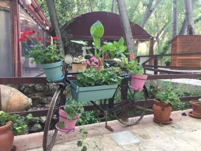 Molino Galán — photo 10
