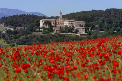 Monestir de Les Avellanes — foto 12