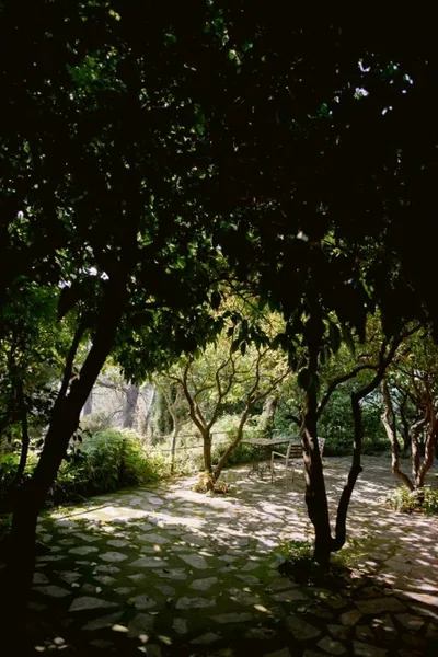 Mont-Sant — photo 6