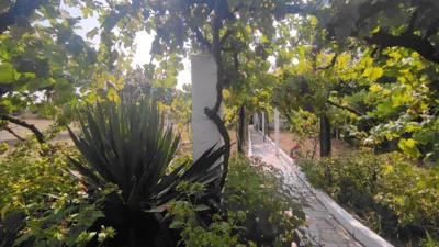 Morin Grey casa en el corazón de la Ribeira Sacra — photo 11