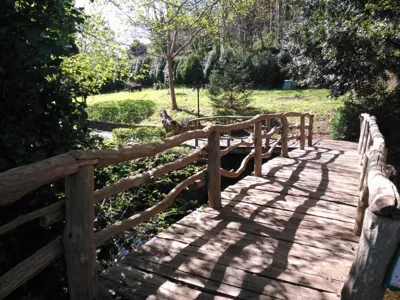 Muiño das Cañotas — foto 10