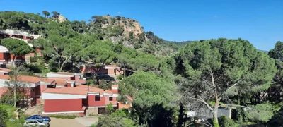 Naturaleza en el pantano de San Juan — foto 7