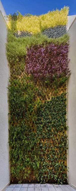 Nature by Raidom — 照片 11