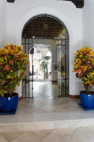 nüa santiago15 — 写真 12