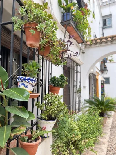 Nueva Córdoba Judería — foto 4