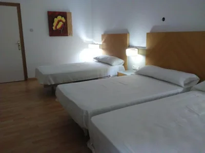 Nuevo Hotel Vista Alegre — photo 2