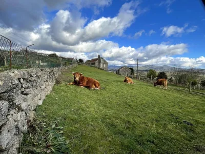 O Balcon Do Oitaven, vuestra finca privada en Galicia — foto 11