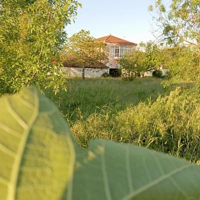 O toxal — foto 5
