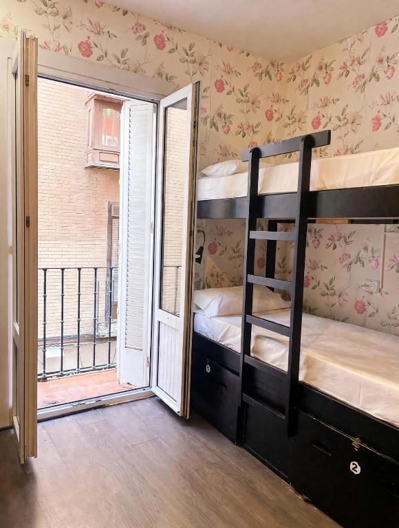 Oasis Backpackers' Toledo