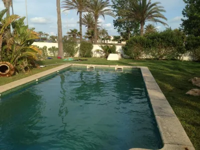 Oasis — foto 11