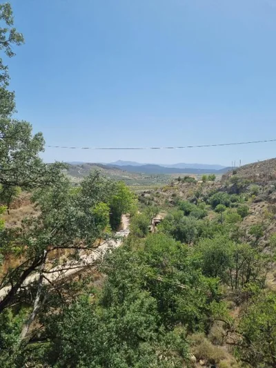 Oasis View — foto 11