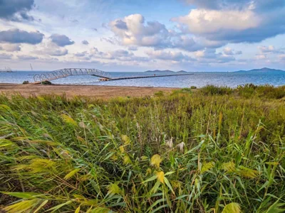 Occidental Mar Menor — foto 6