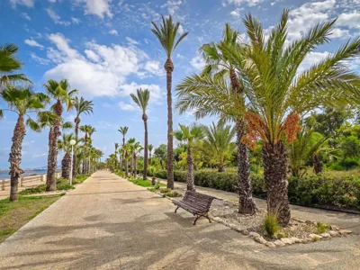 Occidental Mar Menor — foto 7