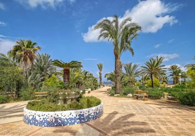 Occidental Mar Menor — foto 8