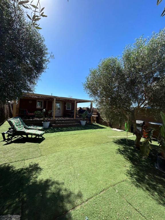 OHANA palmar