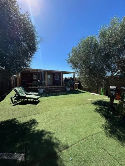OHANA palmar — photo 9