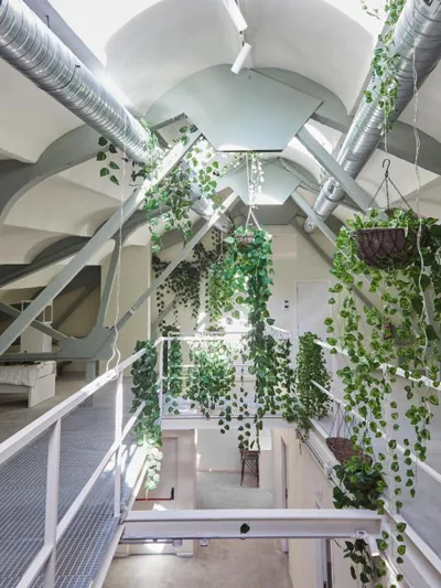 Ola Living Hostal Tetuan — photo 7