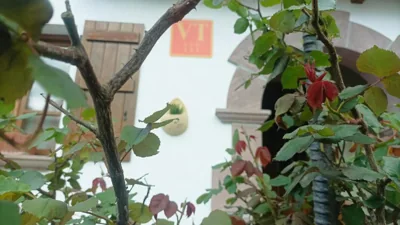 Olabidea Txikia 3 hab — photo 12