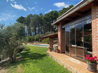 Olivar de Gredos — photo 7