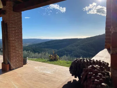 Olivar de Gredos — photo 12