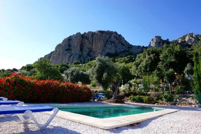 Olive Branch El Chorro — foto 5