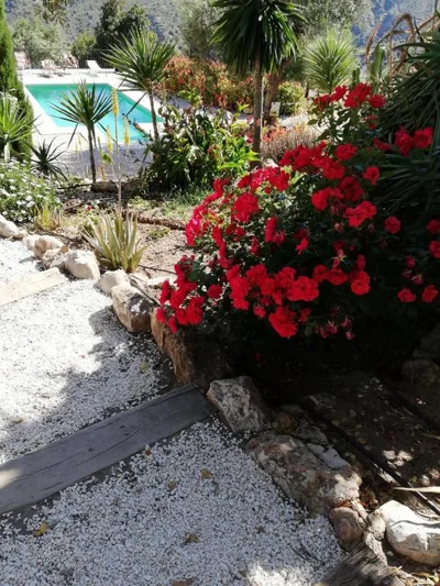 Olive Branch El Chorro — foto 9
