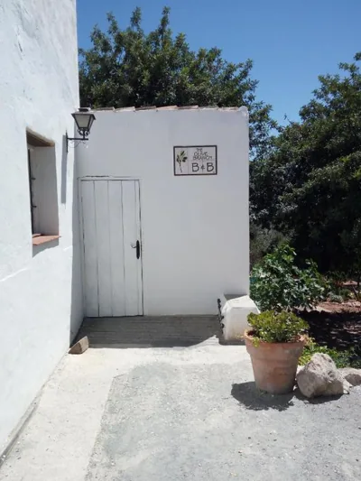 Olive Branch El Chorro — foto 10
